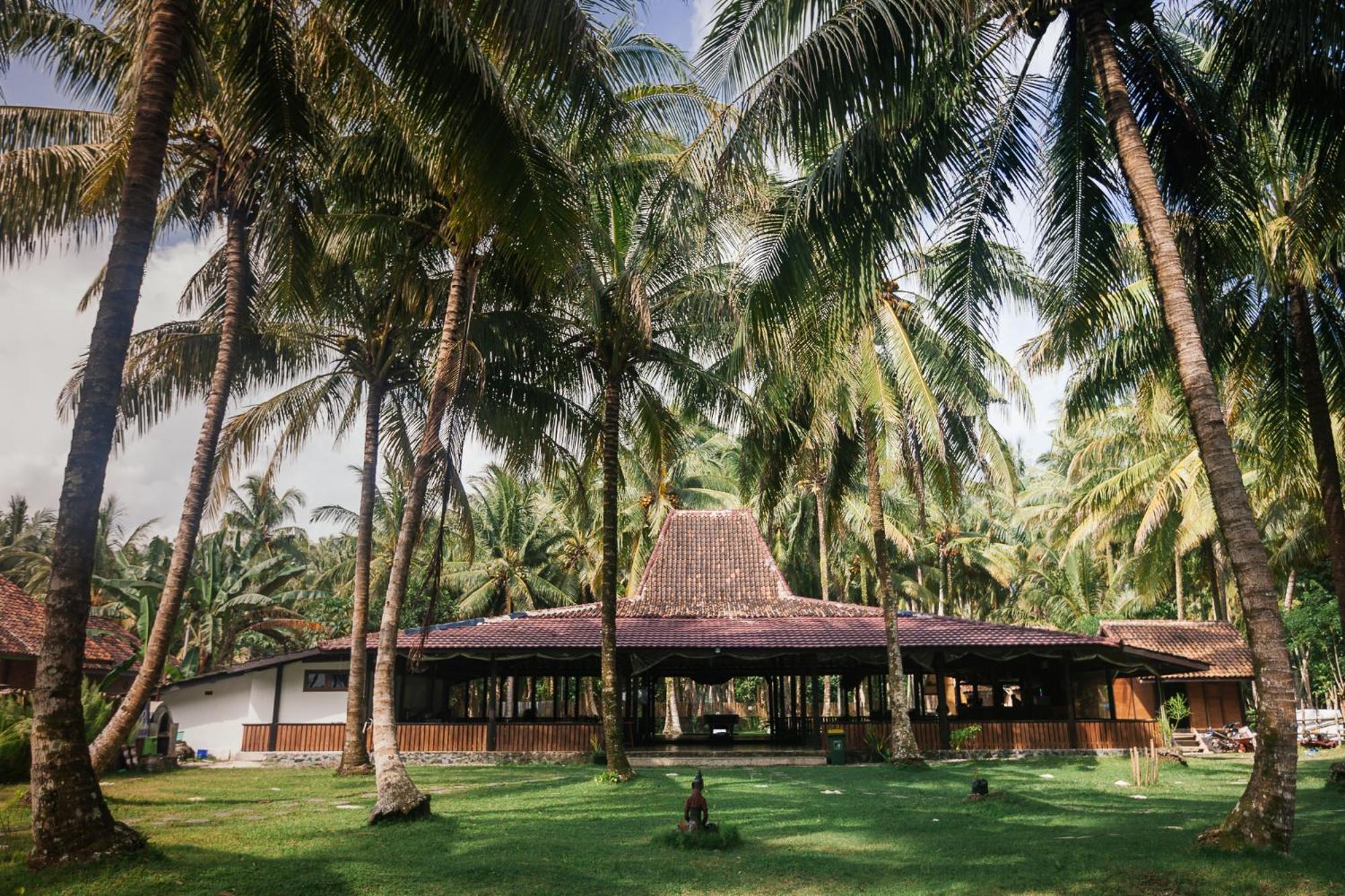 Sumatra Surf Resort Biha Εξωτερικό φωτογραφία