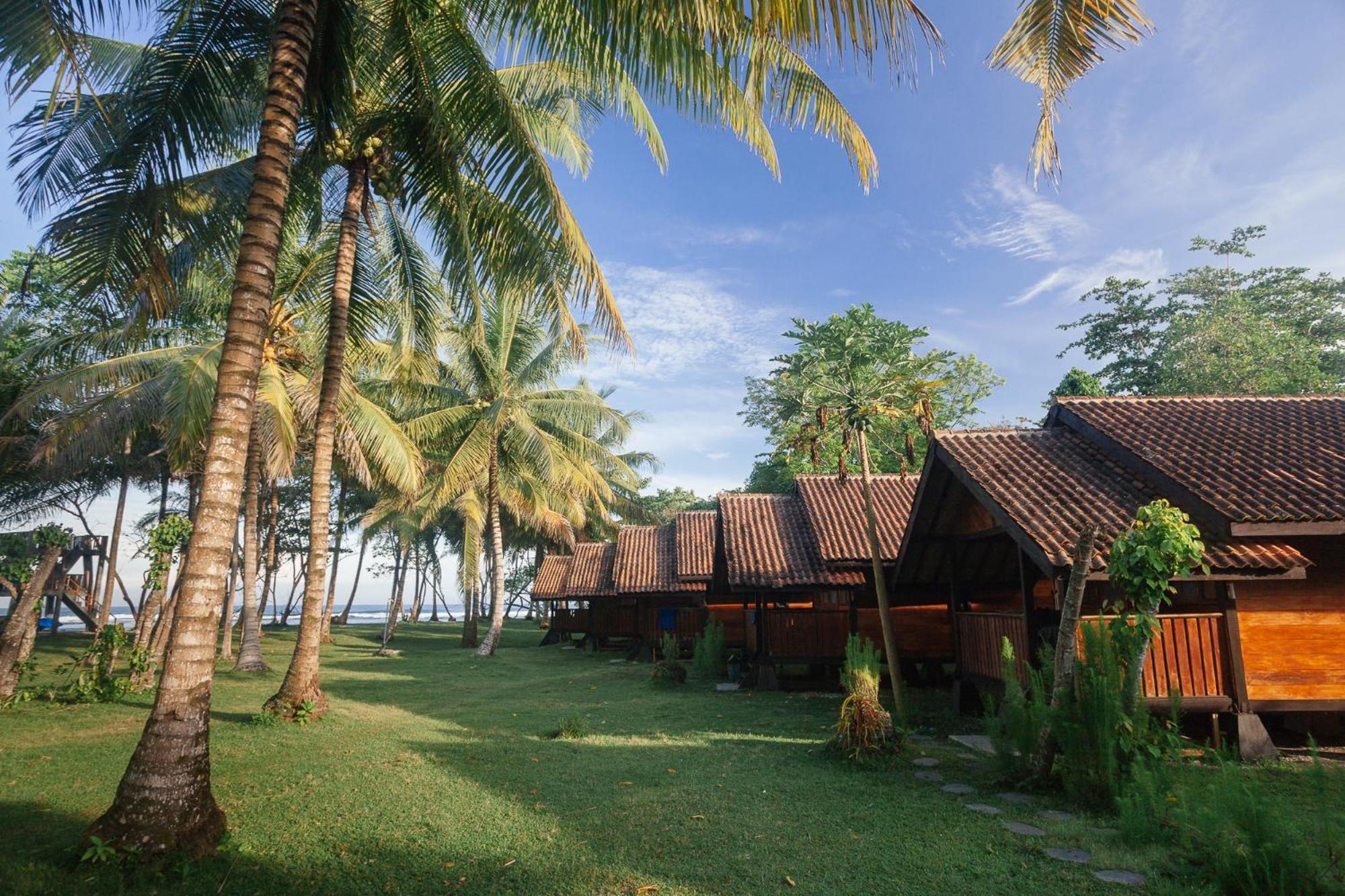 Sumatra Surf Resort Biha Εξωτερικό φωτογραφία