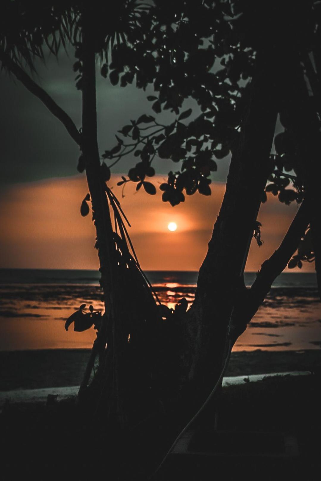 Sumatra Surf Resort Biha Εξωτερικό φωτογραφία