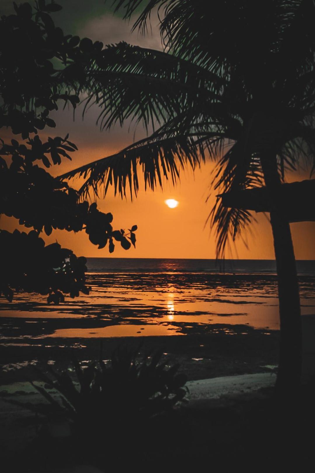 Sumatra Surf Resort Biha Εξωτερικό φωτογραφία